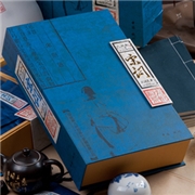 九洲韵 特级绿茶 西湖龙井  宋词  新品上市 礼盒装