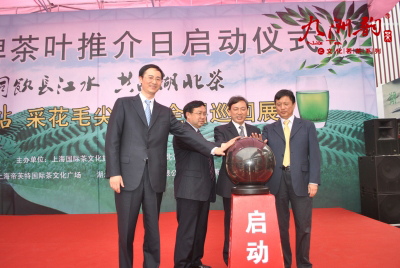 九洲韵茶叶|茶叶加盟|铁观音加盟|采花毛尖